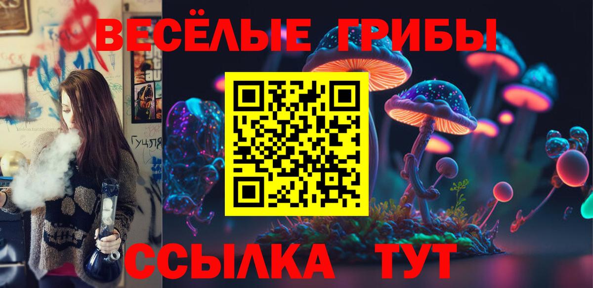 Галлюциногенные грибы GOLDEN TEACHER  Вход с VPN  цены наркотик  Приморско-Ахтарск 