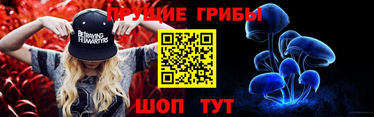 Галлюциногенные грибы прущие грибы Приморско-Ахтарск
